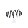 Original VW Coil Spring - 3B0511115P
