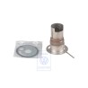 Original VW Combustion Chamber Insert - 701819659