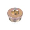 Original VW Sealing Plug - N 0160211
