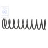 Original VW Coil Spring - 171511105H
