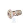 Original VW Banjo Bolt With Filter - 035133505