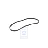 Original VW Poly-V-Belt - 047903137F