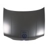 Original VW Bonnet - 1E0823031