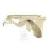Original VW Wheel Housing - 1EM809103