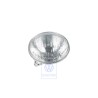 Original VW Headlight Insert (Halogen) - 1GM941105